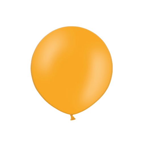 R300-B007