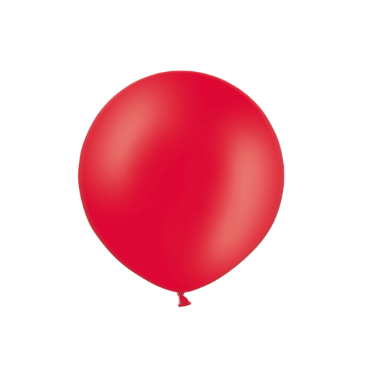 R300-B101