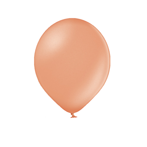 R95-B066