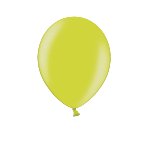 R95-B078