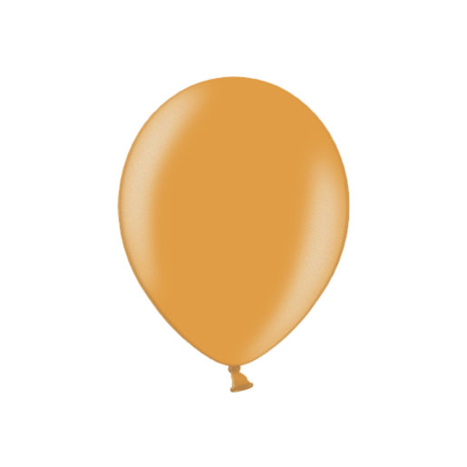 R95-B081