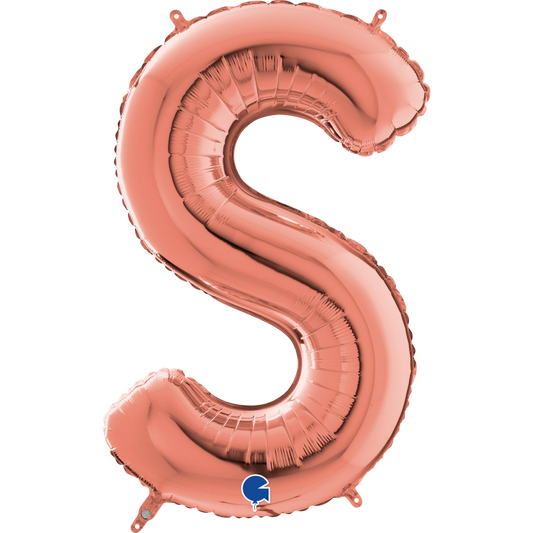 SFS-G066
