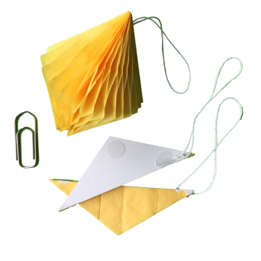 SWD-006