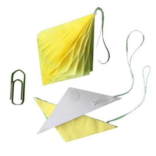 SWD-082