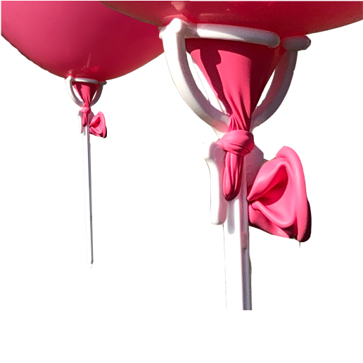 ZBH15